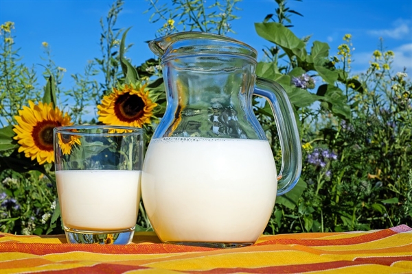 全脂牛奶和低脂牛奶哪个好？低脂牛奶不能达到减肥效果？