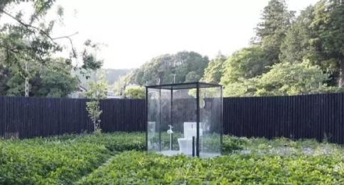 日本脑洞大开发明奇葩“透明厕所” 不管从内从外看都是一览无余