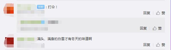 南北方又展开一场辩论赛 这次辩论内容是:下雪天到底要不要打伞?