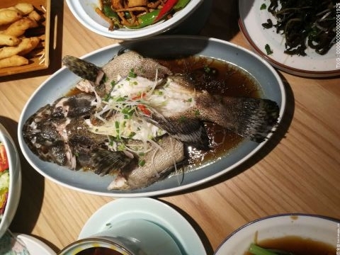 广东发生食用河豚鱼引发食物中毒事件 目前尚无特效解毒药