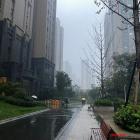 2021年杭州楼市历经风雨最后市场归于平稳