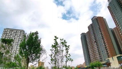重庆有哪些房地产开发公司？重庆有名的房地产开发公司有哪些？